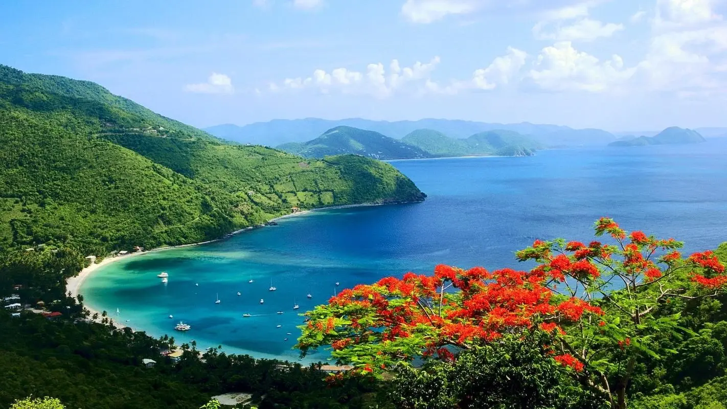 稳定性高端